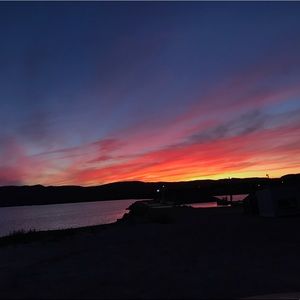 Meet your Posher, Molly